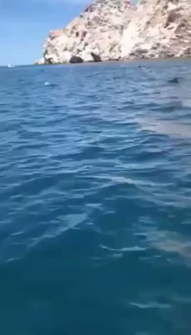 Ενσωματωμένο βίντεο