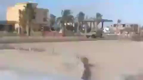 Embedded video