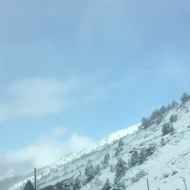 Встроенное видео