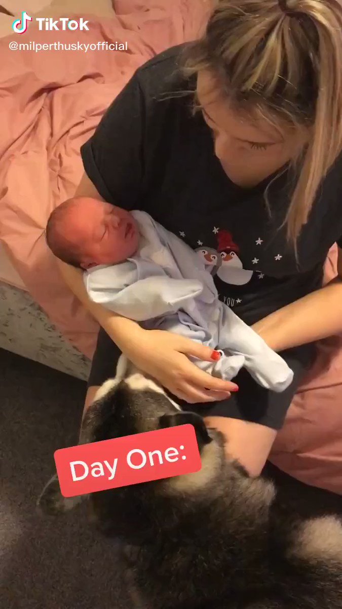 素敵な家族♡赤子 With生まれた時からずっと側にいてくれた犬との成長記録にホッコリ！