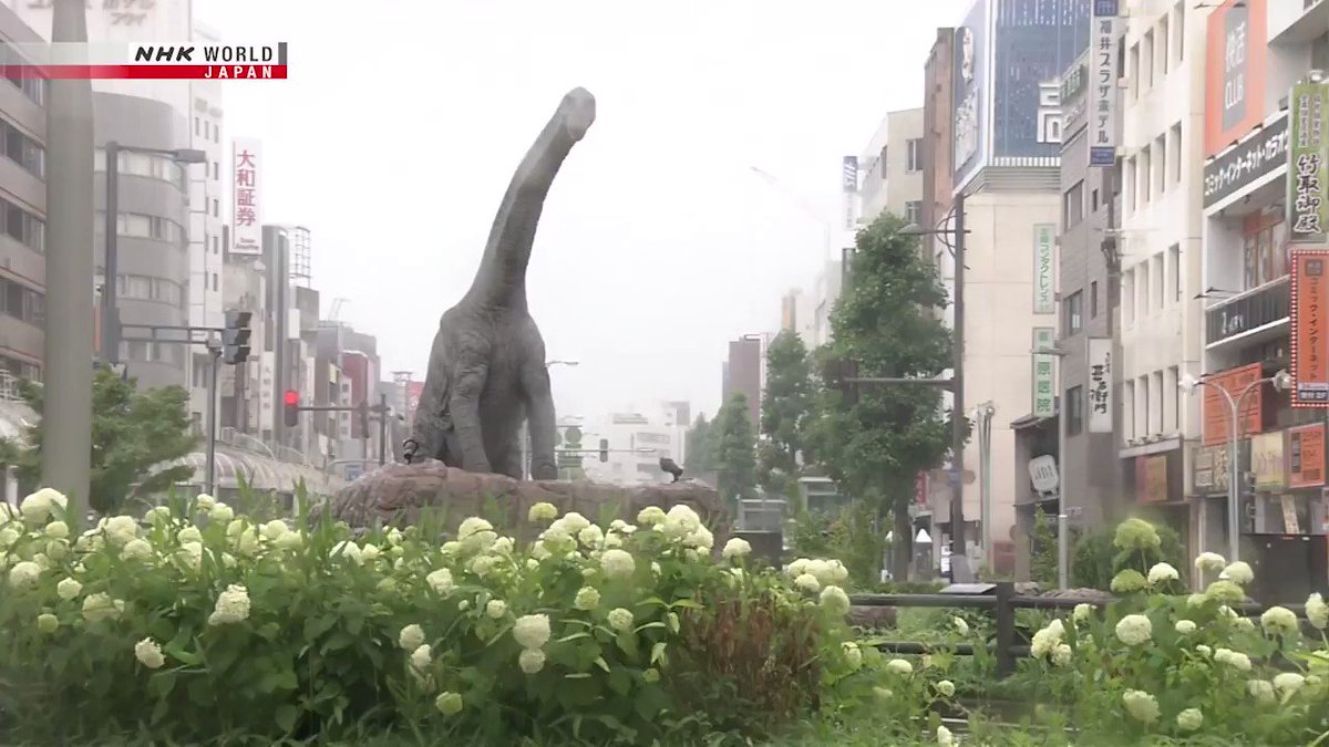 Pete Donaldson Nhk Any Questions That Big Fucking Dinosaur At The Start Nhk Any Questions About Rainy Season I Mean Pete Donaldson Nhk Any Questions That Big Fucking Dinosaur At The Start Nhk Any Questions About Rainy Season I Mean