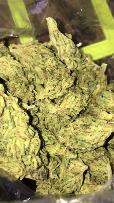 TRAPPER OF THE YEAR⛽️’s pics and videos