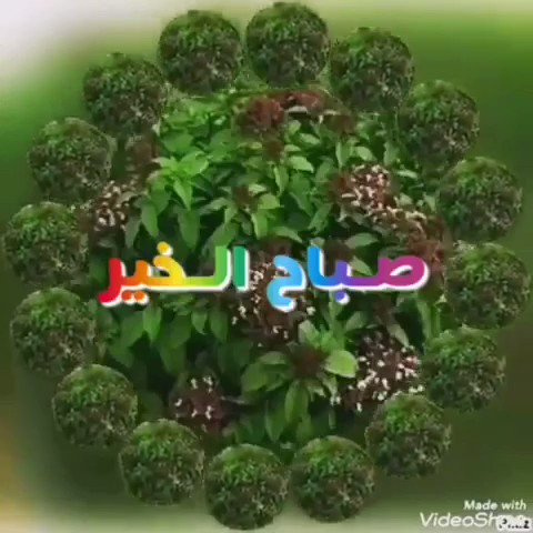 رجا الهذلي (@rm1395rm) on Twitter photo 2020-06-13 05:35:52 رجا الهذلي (@rm1395rm) on Twitter photo 2020-06-13 05:35:52