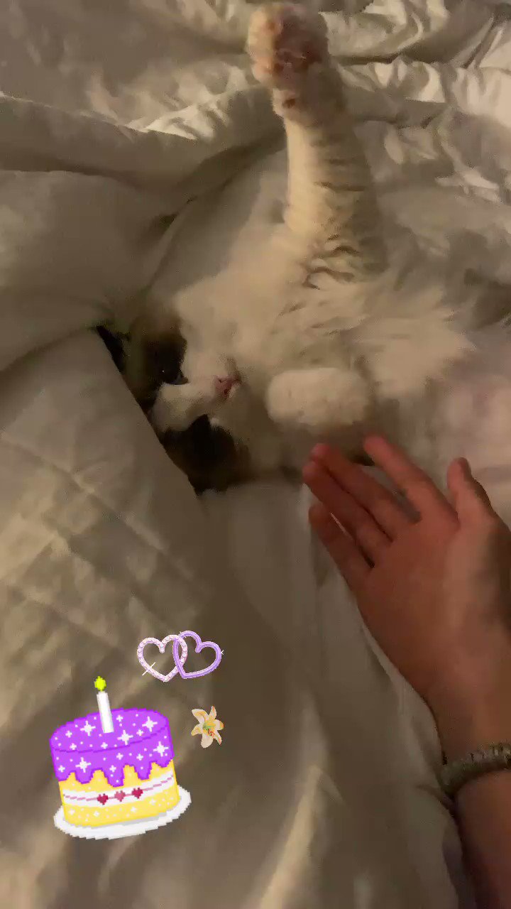 Happy birthday lily luca could never and lisa\s bed looks comfy     