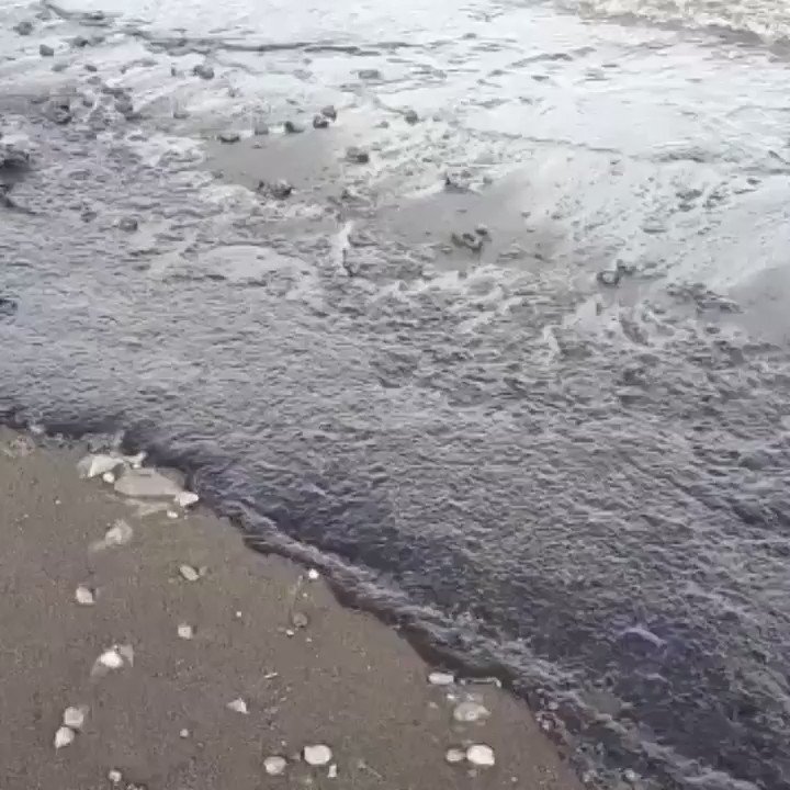 Как выглядит мазутное пятно в черном море Пятно мазута