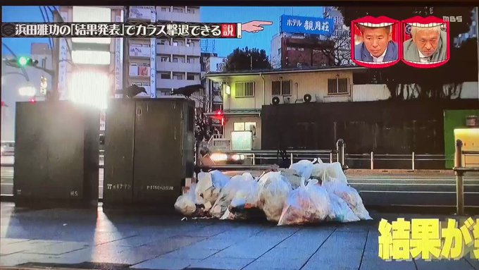 水曜日のダウンタウンで カラス が話題に 水ダウ 3ページ目 トレンドアットtv 水曜日のダウンタウンで カラス が話題に 水ダウ 3ページ目 トレンドアットtv