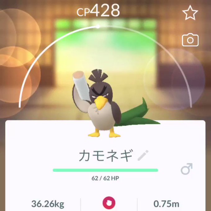 カモネギ の評価や評判 感想など みんなの反応を1時間ごとにまとめて紹介 ついラン