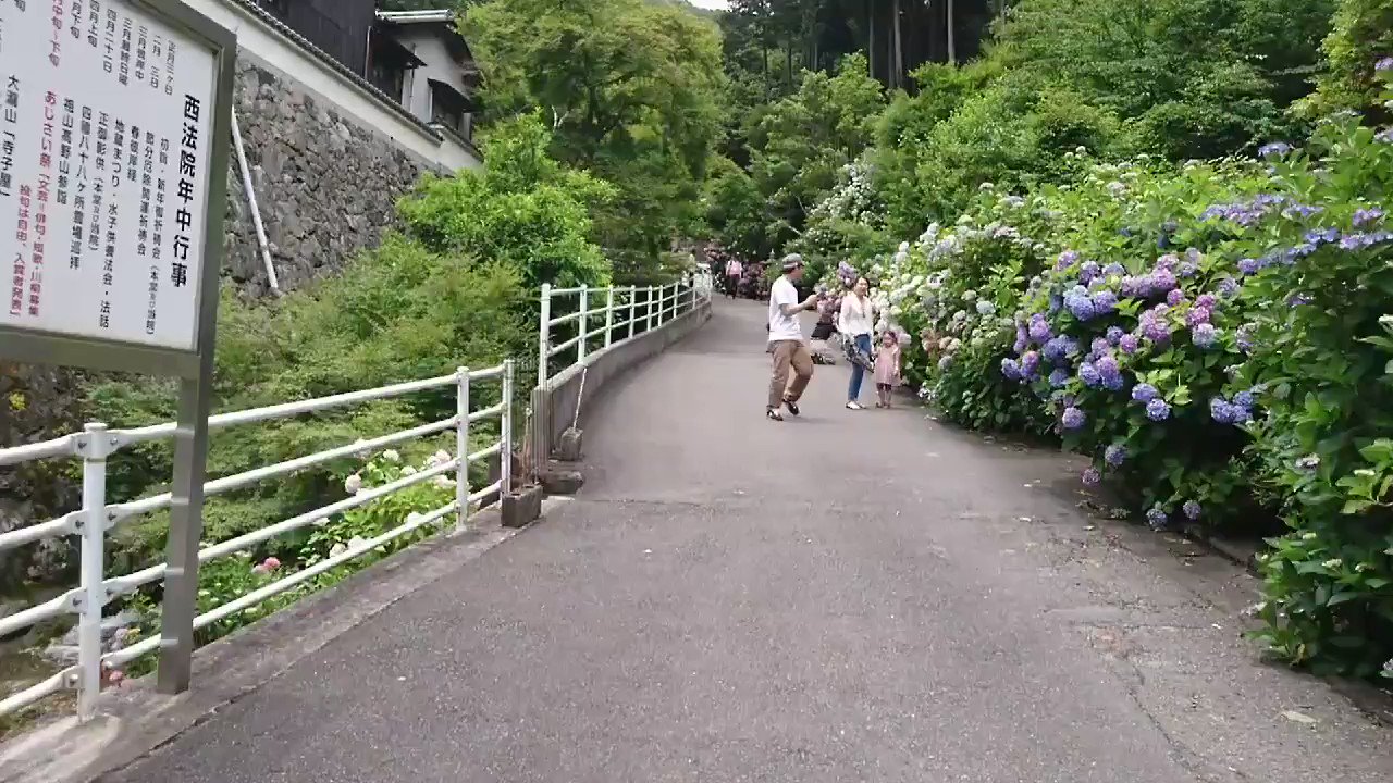 Kp61 Auf Twitter 大瀧山西法院 大滝山 西法院 あじさいが見頃です 今日は大勢の人でした あじさい寺一周してみました 705 0003 岡山県備前市大内995 0869 66 9619 岡山県 備前市 紫陽花 紫陽花寺 アジサイ アジサイ寺 あじさい あじさい