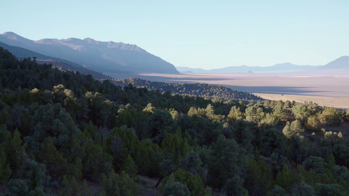 There's so much to see in #Nevada. If you are thinking about a #staycation or want to explore from your couch you can in my #travel series #SeeingtheUSA. It's available @PrimeVideo and on public TV stations including PBS. @TravelNevada @NETA_Tweets @ustravelipw @BrandUSA https://t.co/oypsXEXwkm