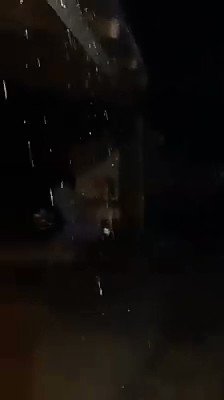 Embedded video