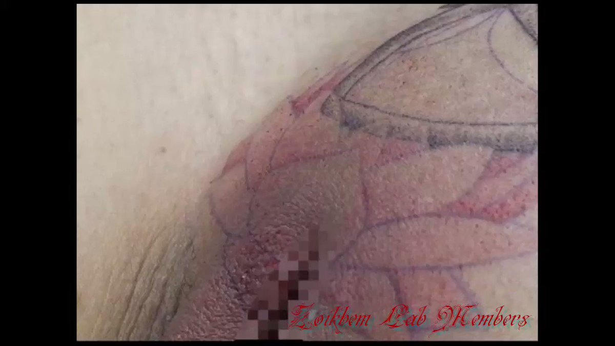 刺青 Zoikhem 『動画・公開刺青施術』 今夜更新の動画より抜粋。  https://t.co/qiXGIiMDDp 周囲を取り囲む雌達の、複雑な感情が入り混じった視線を浴びながらの刺青施術。  予想にたがわず濡れそぼり、予想を超えて官能の媚声を ...