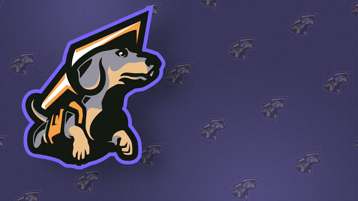 PaladinsPro (@PaladinsPro) on Twitter photo 2020-06-26 16:55:00 WE. ARE. LIVE! Join us for our first match of the Paladins Summer Finals, where the Team Project squad are going head-to-head with @CGCarnageGaming! #PPC 📺twitch.tv/PaladinsGame WE. ARE. LIVE! Join us for our first match of the Paladins Summer Finals, where the Team Project squad are going head-to-head with @CGCarnageGaming! #PPC 📺twitch.tv/PaladinsGame