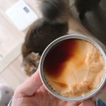 「プリンだってば!」缶詰に入ったプリンを猫缶だと認識する飼い猫ちゃん