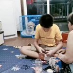 賢すぎる・・・。あまりの暑さに自分でゲージに扇風機を向けるわんちゃん