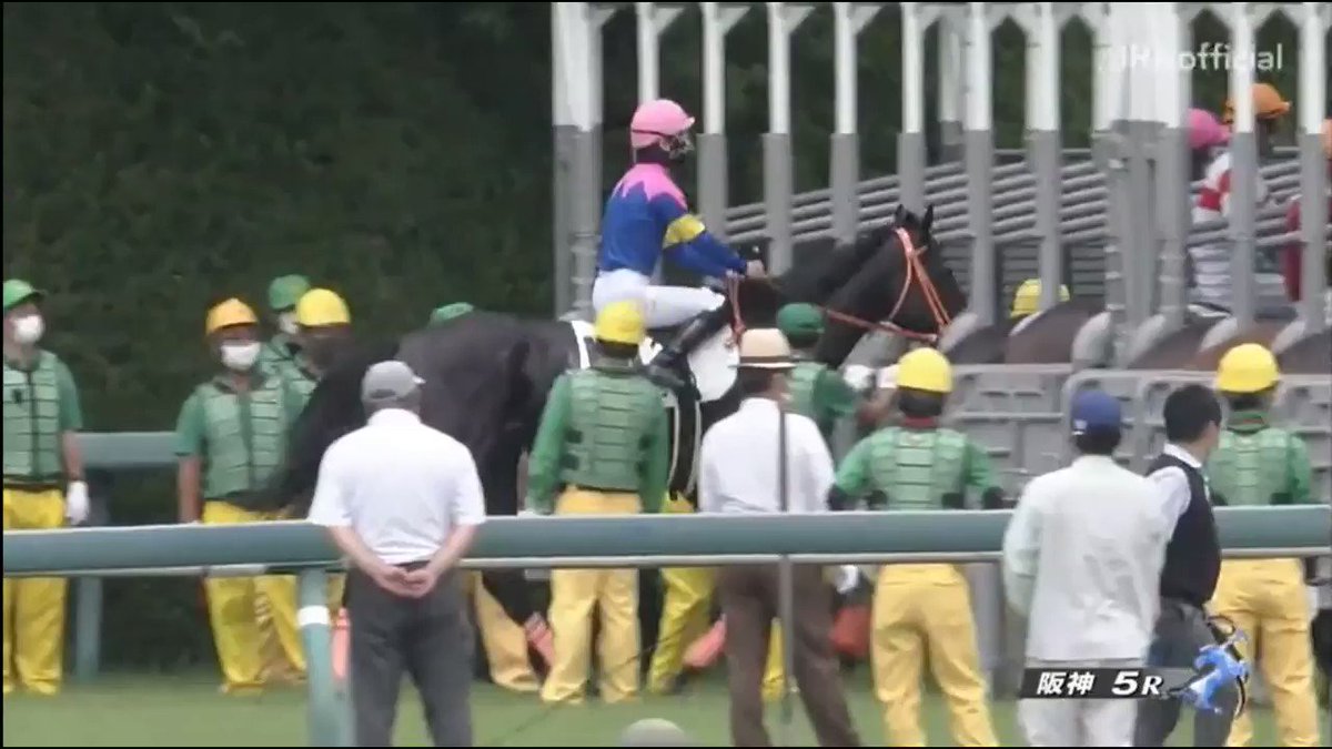 そうだ。
昨年の宝塚記念の日に逃げ馬が気になってたから、各レースの逃げ馬見てたらあの事故があったんだった。
しかも、あの新馬戦の勝ち馬がダノンザキッドで、2着がワンダフルタウンだったっけ。
ダンツテリオスはあのレースを最後に抹消されたのは残念でした。 
