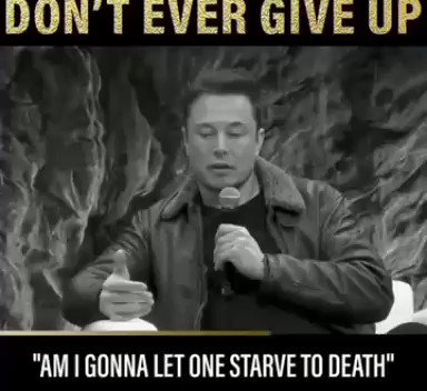Happy Birthday Mr. Elon Musk. 
(Inspiration for Millions)  