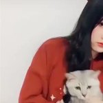 自分の飼い主の顔が猫になったら？この世のものとは思えないという表情をしている猫たちw