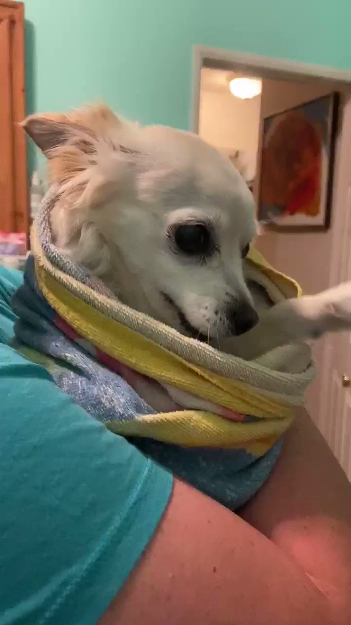 glen 💕 on Twitter "If you or your friends are setting off fireworks