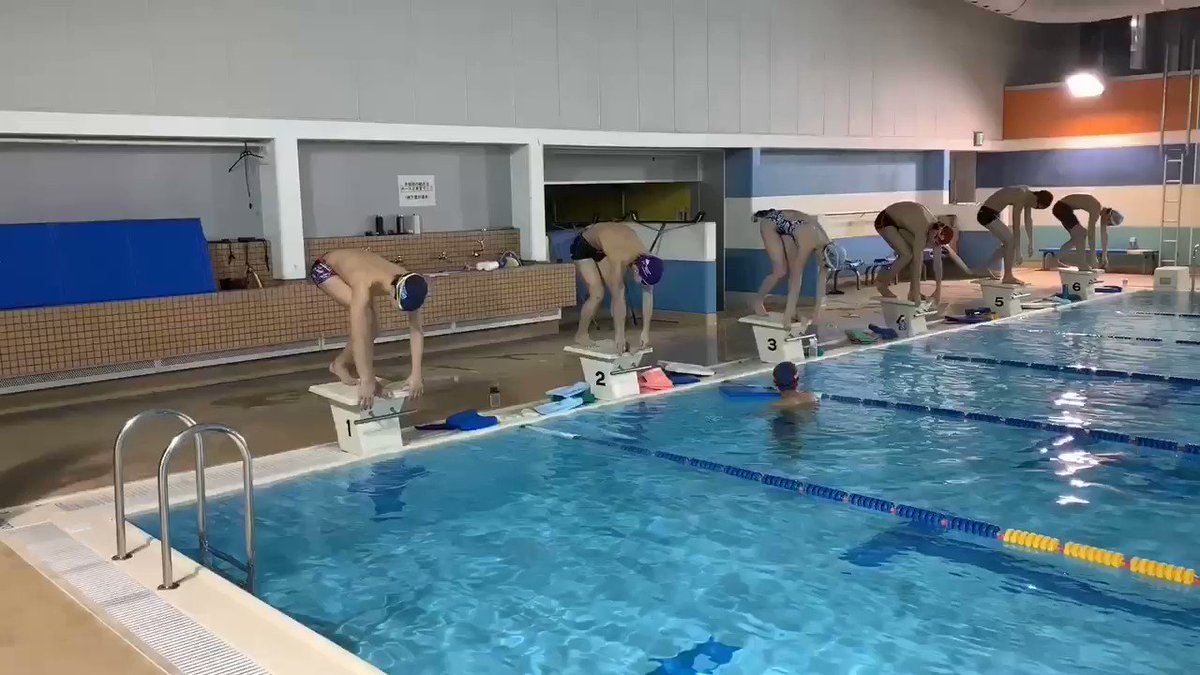 神奈川総合水泳部 Kns Swimteam Twitter
