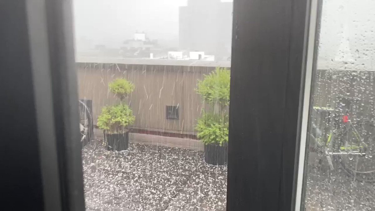@Joyce_Karam's photo on Hail