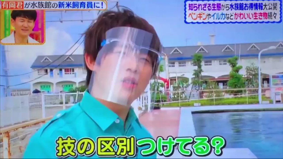 6月30日 ヒルナンデスで 有岡 が話題に トレンドアットtv