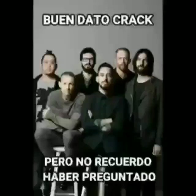 𝕯𝖗𝖎𝖕 Calvo Hilo De Videos De Buen Dato Crack Pero No Recuerdo Haberte Preguntado Yo Le Pregunte Como Canciones