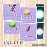 ポケモンgoで コンパン が話題に ポケgo トレンディソーシャルゲームス