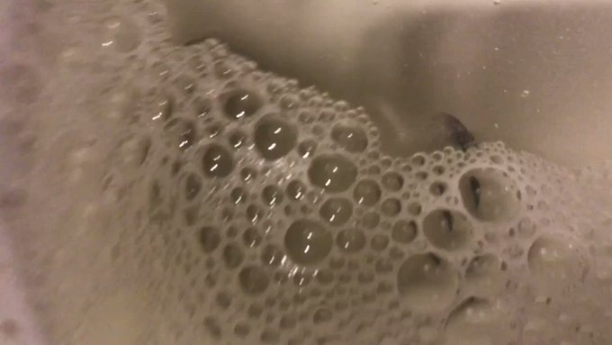 Snap, Crackle, Cum! Just subscribe already. At just $5.49, it cost less than the beers I just pissed