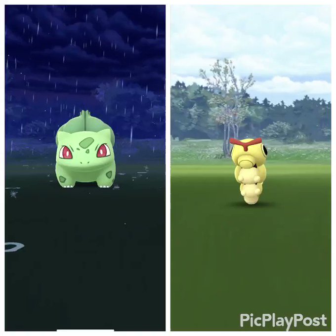 ポケモンgoで コンパン が話題に ポケgo トレンディソーシャルゲームス ポケモンgoで コンパン が話題に ポケgo トレンディソーシャルゲームス