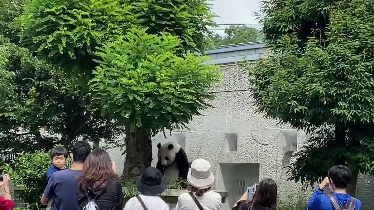 たんたんさん。ご確認お願いします♡ 訳あり】 0726721234は高槻警察署 - 電話やSMSの用件を知りたい