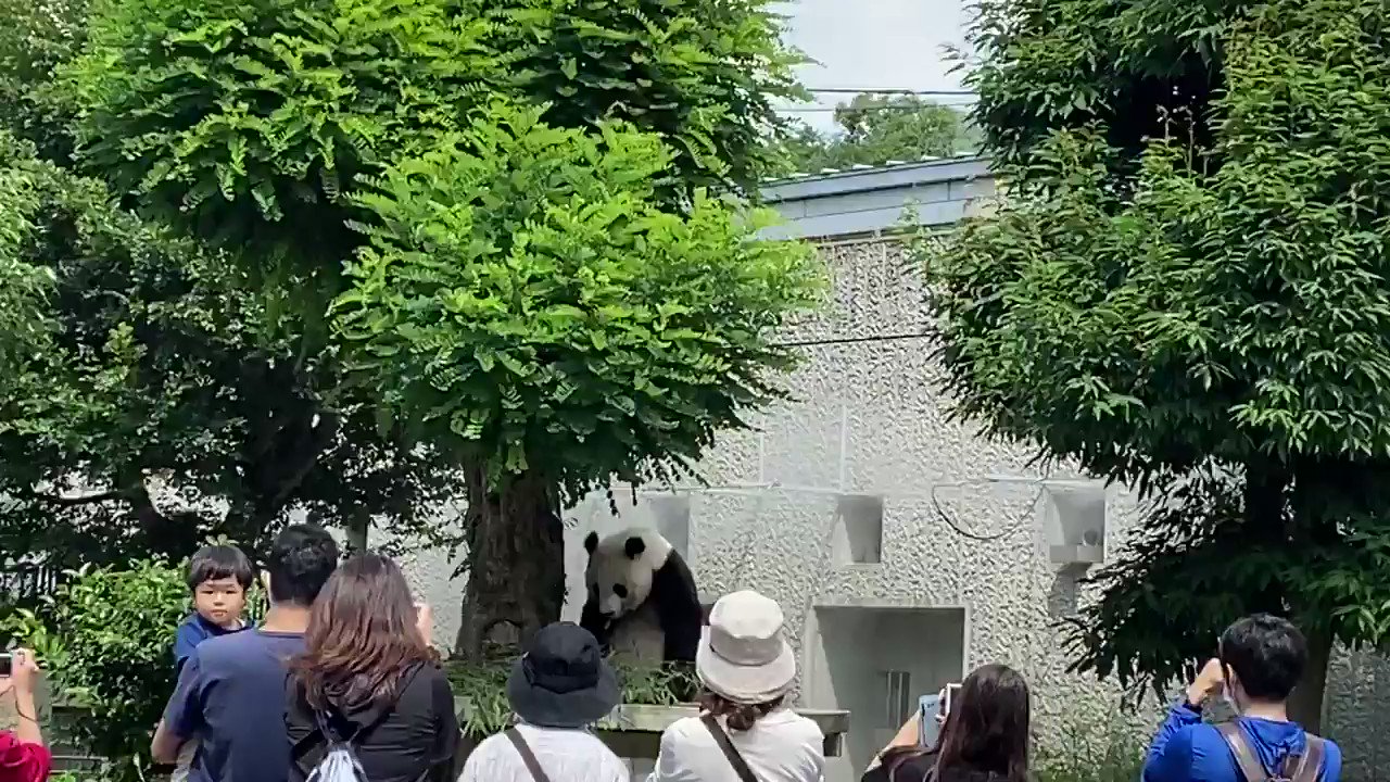 たんたんさん。ご確認お願いいたします♡ いい気温だ〜