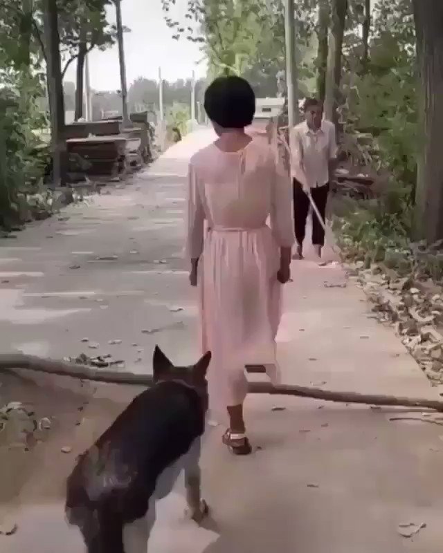 OMG...presence of mind, recall and empathy! RT@Ghost_who_walk Humanity: Watch and learn... 💕🍃 https://t.co/78BQIPeKbz