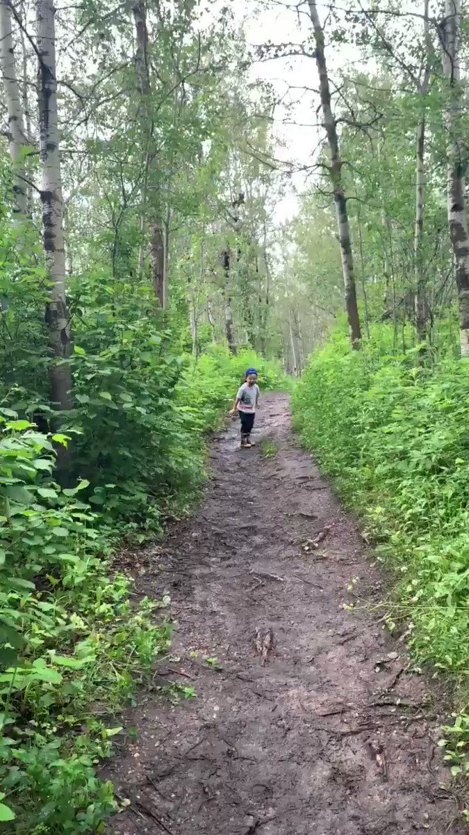 We went for a short hike at Elk Island. It was great to get out but damn, it was grand central station for mosquitoes. I’m pretty sure by toddler scared more than animals away! He thought he saw a T-Rex 🦖 #ElkIslandNationalPark #gotouttoday https://t.co/hrd0RR3xqW