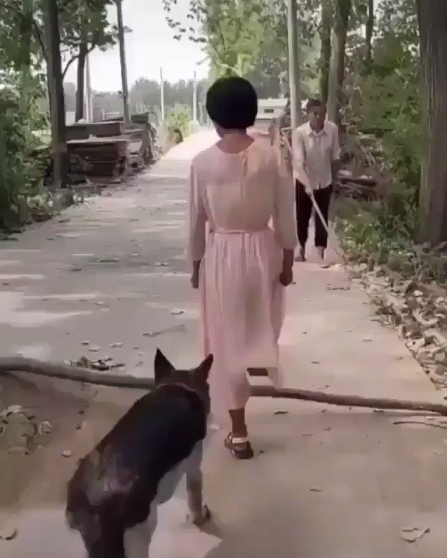 Humanity
https://t.co/cjXdfpa8zi