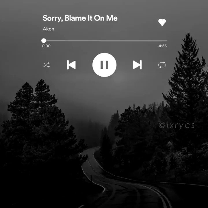 Sorry, Blame It On Me, Akon