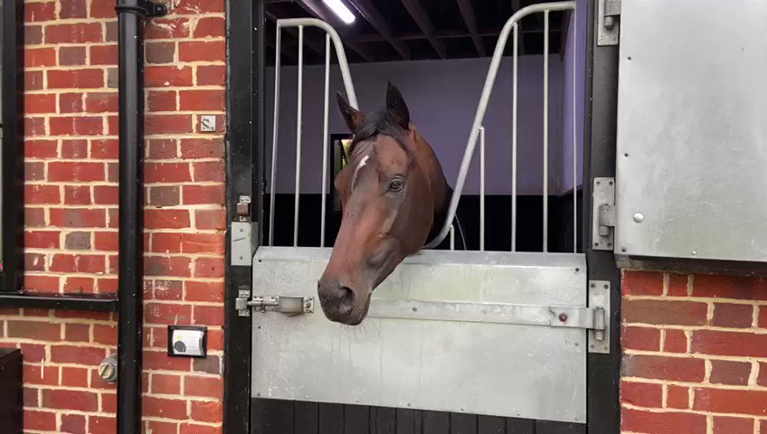 @EpsomRacecourse's photo on English King