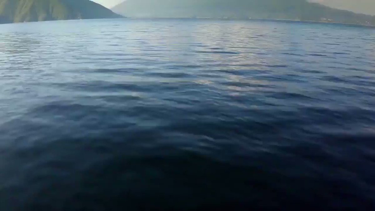 Wild Guatemala con @Nigelmarven no te lo puedes perder. En este programa conoceras la Biodiversidad de nuestro pais. #Guatemala #Turismo
@AnimalPlanetLat @AnimalPlanet @CONAPgt
@InguatPrensa @VisitGuatemala
@visitcentroamer https://t.co/b6ZBTTEwJz
