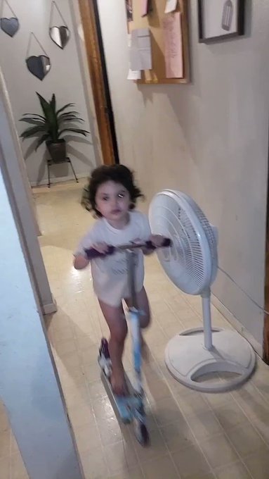 L3oNy 3l Majadero’s pics and videos