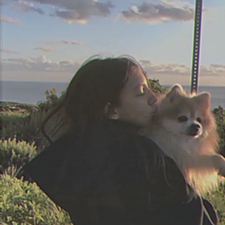 πΈπππ πππππ πΏππππ ππ β‘β³ (@EllePLegaspi) on Twitter photo 08/07/2020 05:53:04 Rest in peace Fluffy boy i love u and miss u β¨π€ Rest in peace Fluffy boy i love u and miss u β¨π€