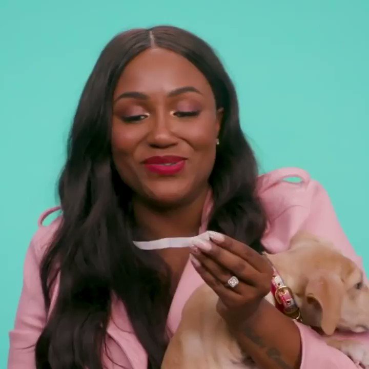 🐱+🐶+ Everything you need to know about how resources are allocated based on the 2020 Census results. If you’re living in the US, do your part and get counted today. → https://t.co/O313kL3Wij https://t.co/LD17KgbOZ3