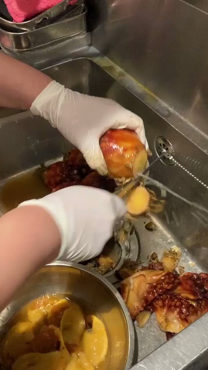 トッカグン 小野寺 これこれ ホヤの捌くところ 中から海水吸いまくった水分が出てきます よく家で 捌くところまではやってたなぁ