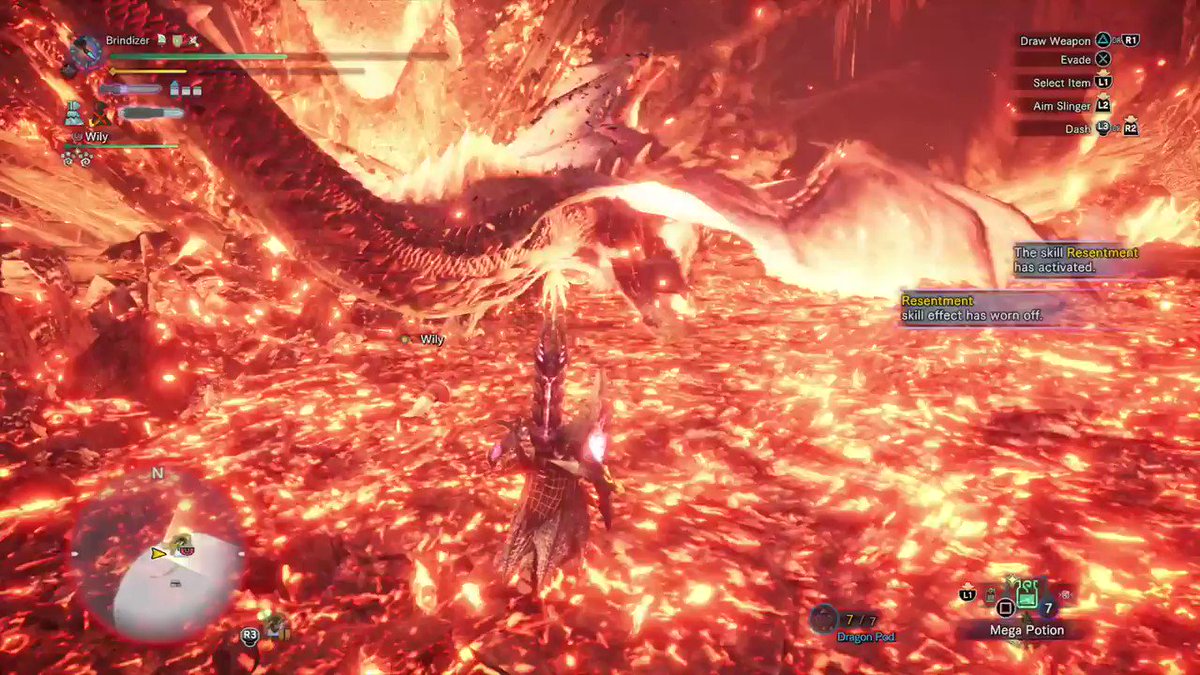 Follow Brindizer S Brindizer Latest Tweets Twitter