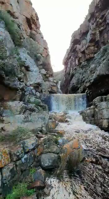 What good rain brings to our mountains.
#AdmiralsWaterfall #SimonsTown
📽 Take Back Our Mountains
@SANParks
#SANParks #LiveYourWild #TableMountain #TBOM https://t.co/bwAXQcn9ac