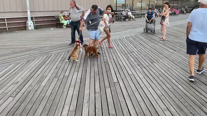 “Dog Fight reminded #BrotherOneness #WE #humans do not #realize that we #belong to #1family #me & #mine #feelings #destroying #one #all #races Dear #GOD ☪️✡️✝️✡️☸️🕉 #enable #each #everyone to #hatenone #love #everyone #everywhere #everyday #inspiration #sssbaba #onenessofall https://t.co/3ApkUprgKK