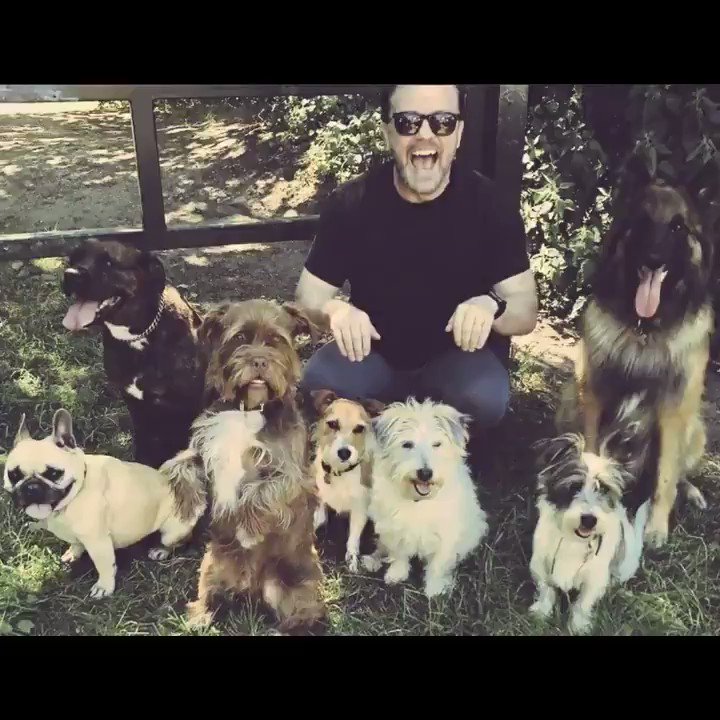 land of the free forever🇺🇸 (@happyohana) on Twitter photo 2020-07-13 13:33:03 If the kindest souls were rewarded with the longest lives, dogs would outlive us all.~ @RickyGervais.💟 When you buy anything from the Protect All Wildlife online store at protect-all-wildlife.ecwid.com you are helping @MiriMission rescue and treat sick, injured & disabled animals. If the kindest souls were rewarded with the longest lives, dogs would outlive us all.~ @RickyGervais.💟 When you buy anything from the Protect All Wildlife online store at protect-all-wildlife.ecwid.com you are helping @MiriMission rescue and treat sick, injured & disabled animals.