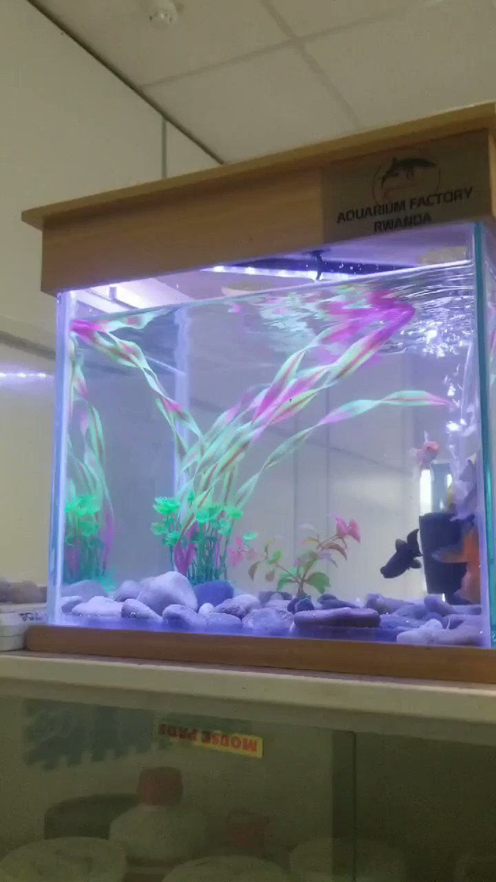 Aquarium factory sales