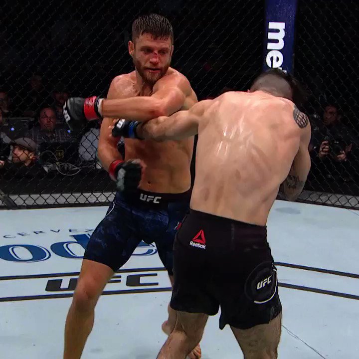 Será una guerra HOY #UFCFightIsland1
ESTELARES 10pm ET 🇺🇸 / 9pm 🇲🇽 / 11pm 🇦🇷 / 4am 🇪🇸
PRELIMS 7pm ET 🇺🇸 / 6pm 🇲🇽 / 8pm 🇦🇷 / 1am 🇪🇸
CÓMO VER: https://t.co/R3ZxsClln6 https://t.co/pWHObLCUJb