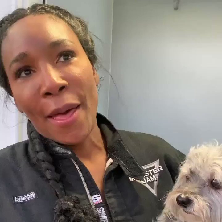 Venus Williams @Venuseswilliams