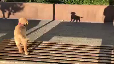 Quando vejo alguns falando que ganhou um tÃtulo "contla tudo e contla todos"
https://t.co/rdttsplu4a
