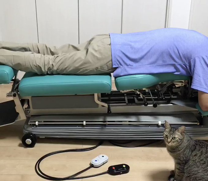 常連必須！猫さんがフミフミしてくれる猫整体へようこそ♪のサムネイル画像